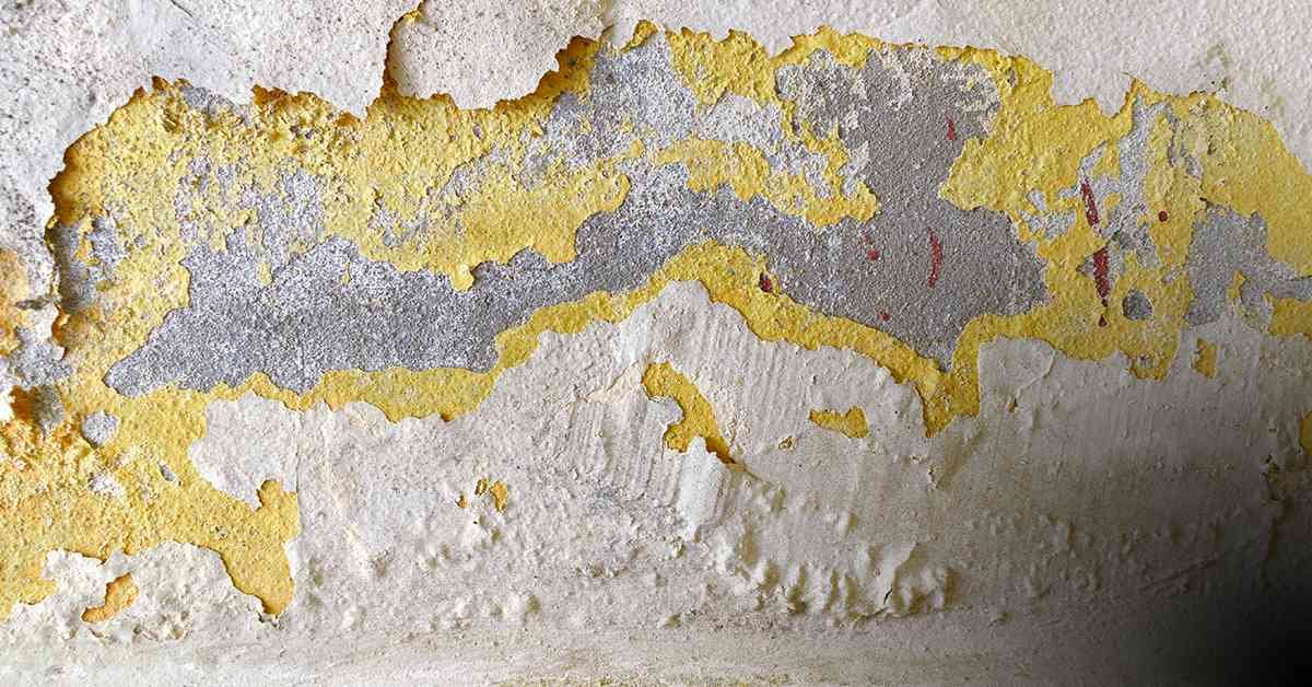 REMPRO CATEGORY FEATURE IMAGE PEELING PAINT